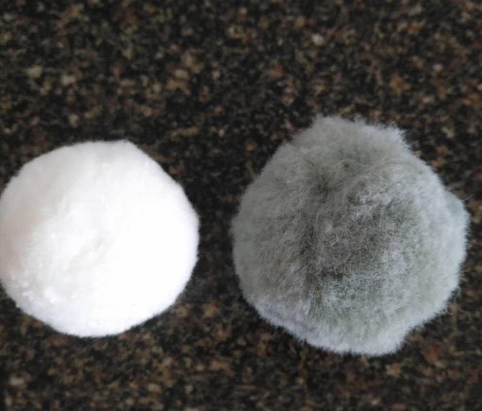 �w�S��V��