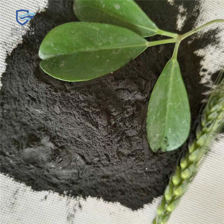 ��������̿�ļҺ�2